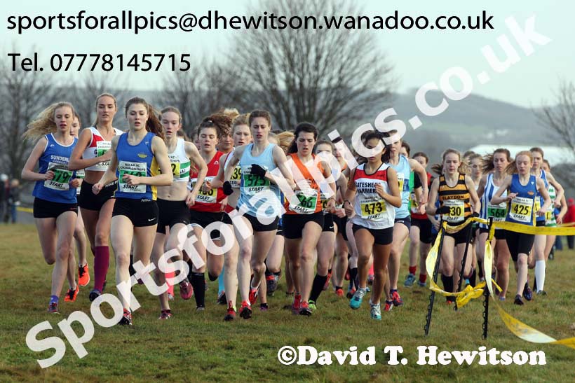Womens under-17s and 20s North Eastern Cross Country, Aykley Heads, Durham. Photo: David T. Hewitson/Sports for All Pics